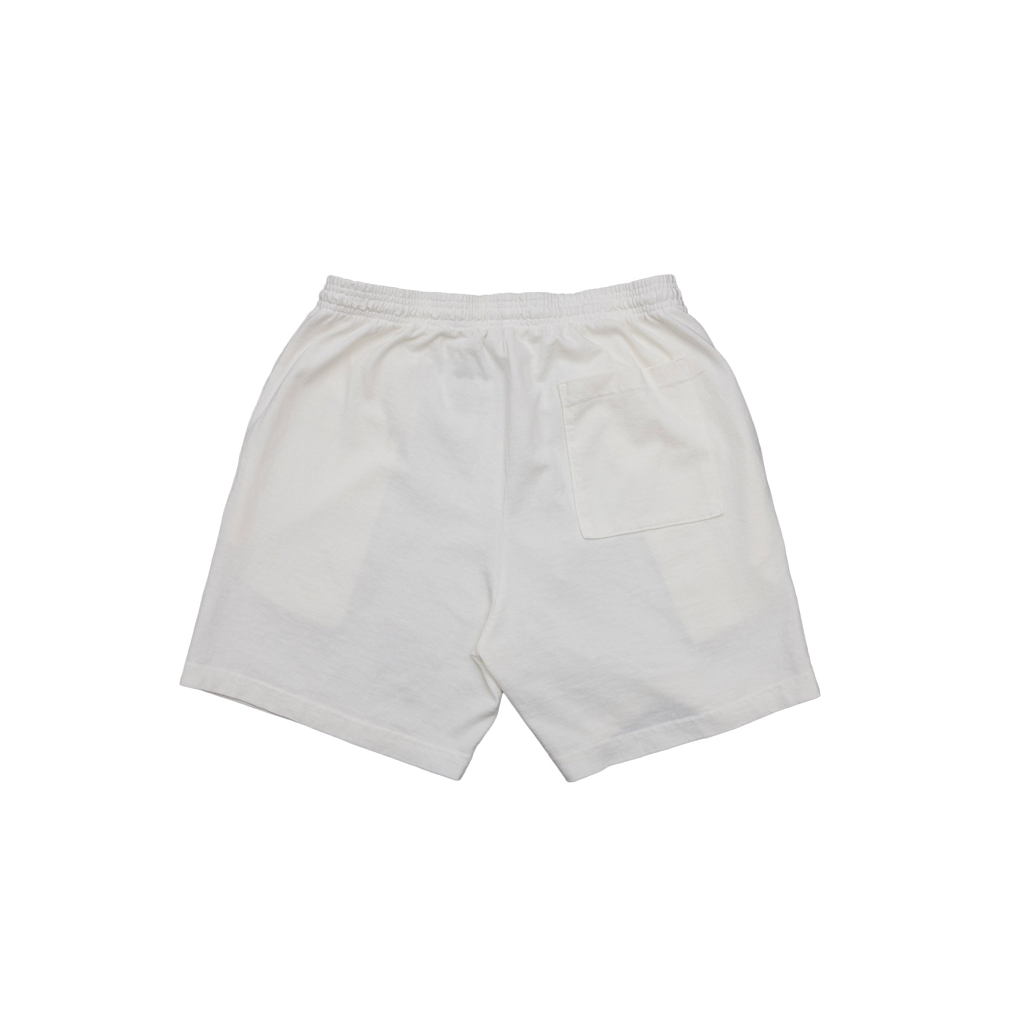 Wisconsin Sketch Shorts