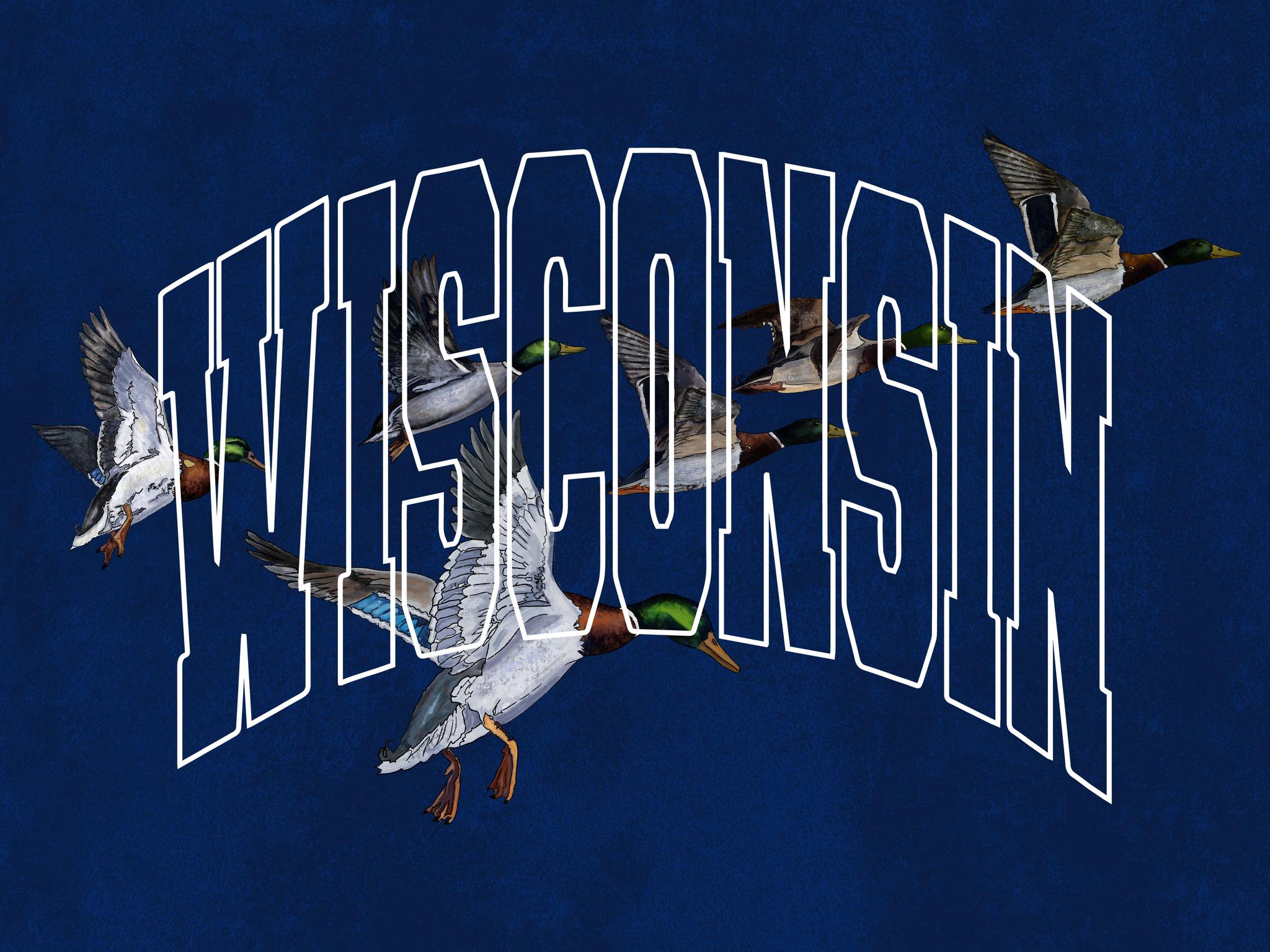 Duck Poster – Wisconsin Design Team