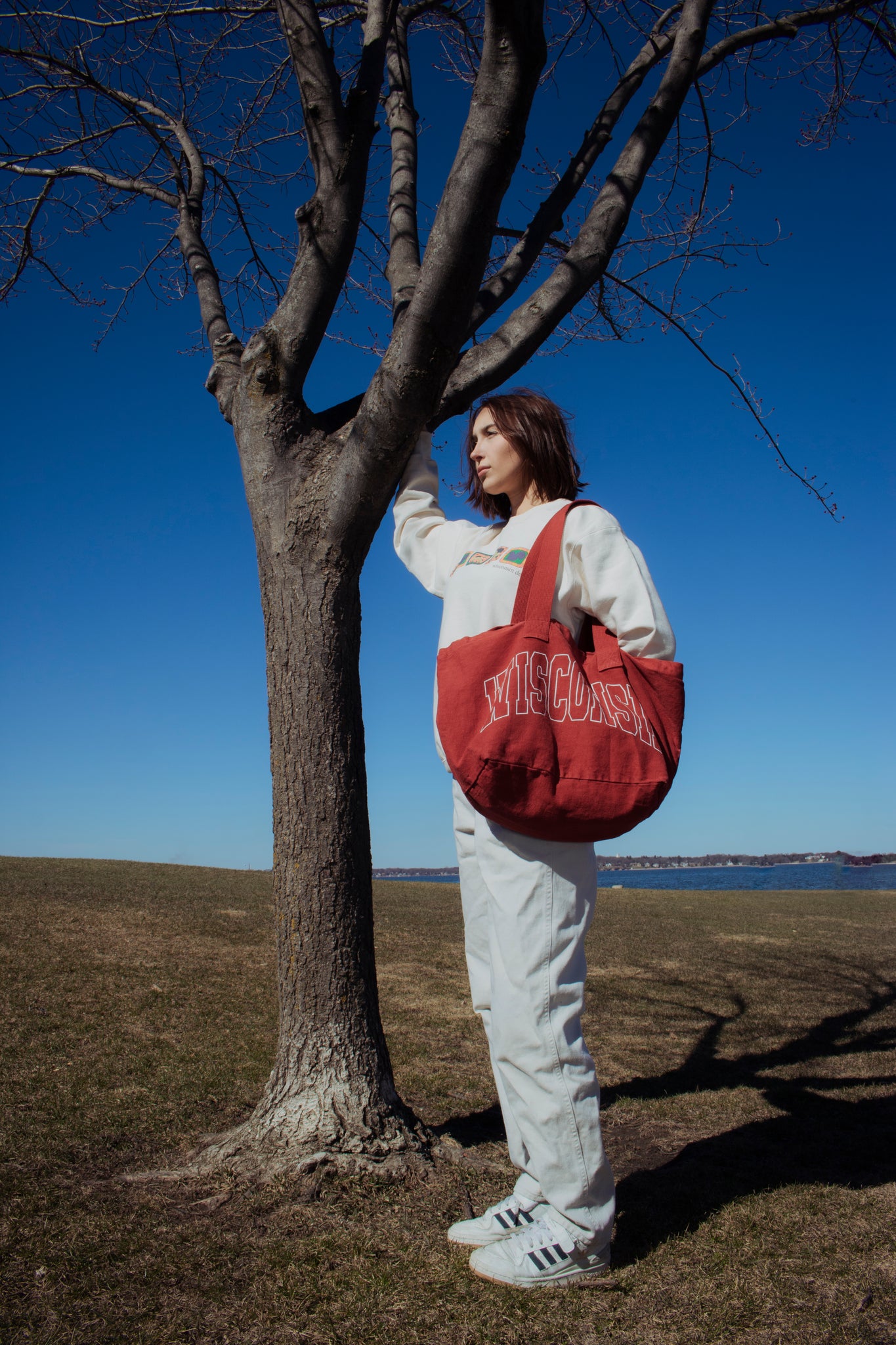 Arc Tote