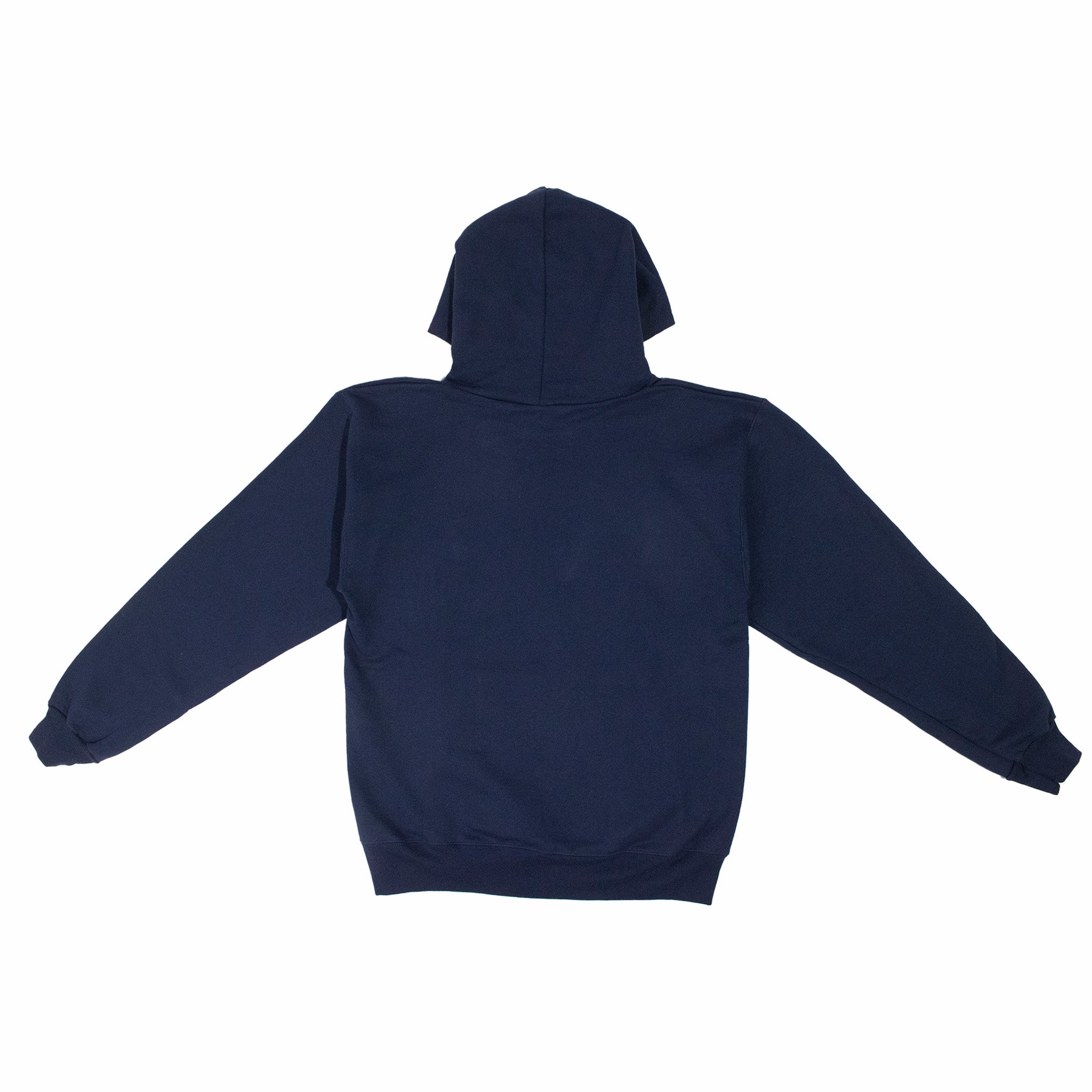 Wisconsin Hoodie