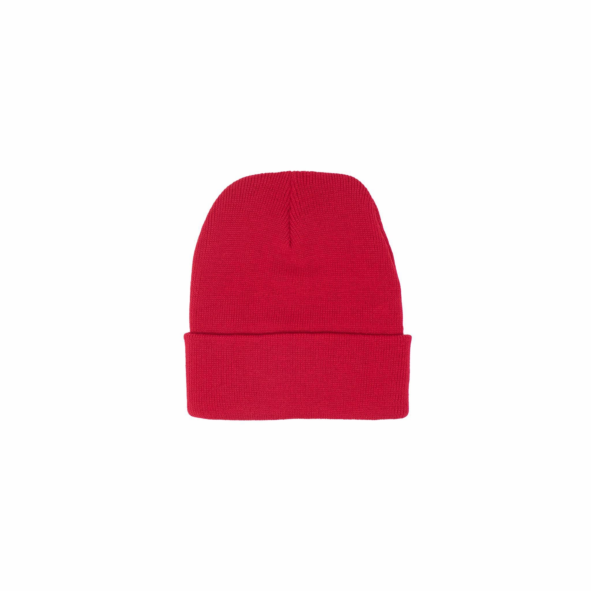 Wisconsin Patch Beanie